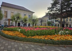 15.000 De Euro Pe Lalele, 40