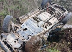 Accident Cu Două Victime, în Lăpușna