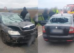 Accidentul Rutier De La Fântâna Mare: Căruțașul Circula Băut și Nu A Acordat Prioritate
