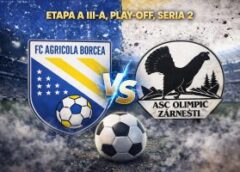 Agricola Borcea și Olimpic Zărnești