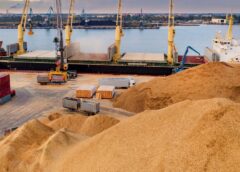 Ambasadorul Israelului La Kiev, Convocat De Ministerul De Externe Al Ucrainei După Sosirea în Portul Haifa A Unor Nave Cu Cereale „furate De Rusia”