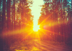 Anm: Val De Aer Cald Peste România