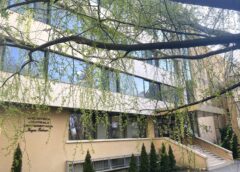 Bibliotecarul, Eroul Din Umbră