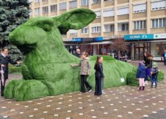 Ce Facem Astăzi, 10 Aprilie 2026, în Timișoara?