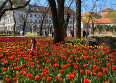 Ce Facem Astăzi, 16 Aprilie 2026, în Timișoara?