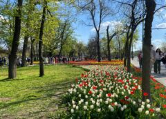 Ce Facem Astăzi, 17 Aprilie 2026, în Timișoara?