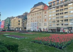 Ce Facem Astăzi, 23 Aprilie 2026, în Timișoara?