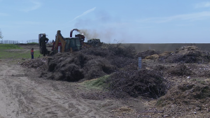 Criza îngrășămintelor, Combătută Cu Gunoi Vegetal, La Smeeni