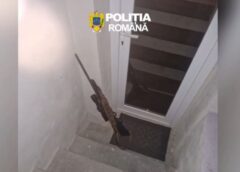 Doi Bărbați Din Brașov, Reținuți După Ce Au împușcat Un Urs Cu O Armă Cu Termoviziune