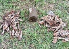 Elemente De Muniție Descoperite într O Curte Din Sâncrăieni, în Urma Lucrărilor Agricole De Primăvară