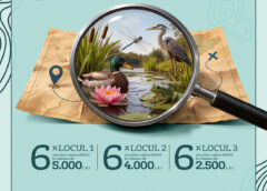 Elevii Din Toată țara Se Pot înscrie Până Pe 20 Mai La Olimpiada De Biodiversitate „natura Dintre Ape”. Premii în Valoare De 20