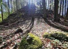 Enigmele Sanctuarului De La Pustiosu, De Pe Via Transilvanica