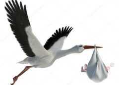 Evenimente în Municipiul Giurgiu, în Perioada 10 Martie – 7 Aprilie 2026