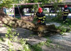 Furtuni Violente în România: Un Mort și Mai Mulți Răniți, Bilanț Oficial