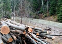 Garda De Mediu Suceava A Aplicat Amenzi De 16