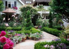 Grădina De Vis în 2026: Plantele Care Transformă Orice Curte Din Primul Sezon – Top 5 Alegeri Premium + Specii Exotice De Cumpărat Online