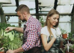 Grădinărit Fără Efort: Cum Să îți Organizezi Uneltele Ca Să Muncești Mai Inteligent, Nu Mai Greu