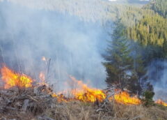 Incendiu De Vegetație Provocat De Un Bărbat Pe O Pășune Alpină în Zona Argel