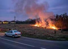 Incendiu De Vegetație Uscată La Intrarea în Satulung Dinspre Baia Mare