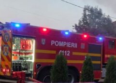 Incendiu La O Magazie De Lemne Din Sângeorgiu De Mureș