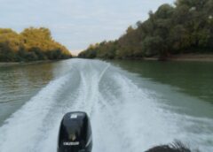 Motoarele Puternice, Interzise în Delta Dunării Din 2034!planul Care Ar Putea Schimba Radical Turismul