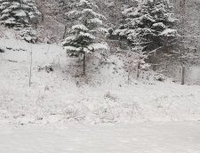 Ninge Ca în Plină Iarnă, în Aprilie