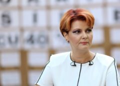 Olguța Vasilescu Revine Asupra Declarației Privind Demisia Lui Grindeanu De La șefia Camerei Deputaților: „decizie Constituțională, Ce Să Faci?”
