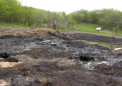 Petrol în Loc De Apă
