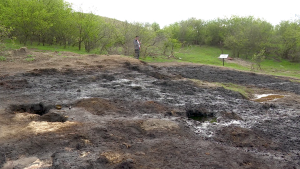 Petrol în Loc De Apă