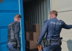 Rețea De țigări Netimbrate, Descoperită în Timiș în Urma Unor Percheziții