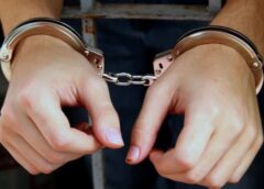 Rețea De Trafic De Droguri Destructurată în Timiș: 13 Kg De Canabis Confiscate și Doi Suspecți Arestați