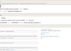 Suspiciuni Privind Atribuirea Unor Contracte Către O Firmă Apropiată De Primarul Mario De Mezzo