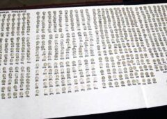 Tezaur Impresionant Găsit întâmplător în Nordul Județului Botoșani. Monede De Argint și Obiecte Dacice Vechi De Peste 2