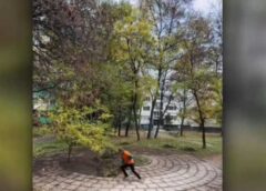 Un Român A Devenit Un Model De Bun Simț și Hărnicie în Bulgaria