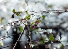 Un Val Polar Aduce O Nouă Răcire în România