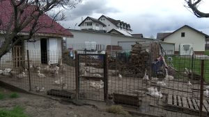 Vlcsnap 2026 04 10 09h59m10s524