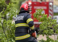 Vântul Puternic Face Ravagii în Județul Botoșani: Copaci Căzuți, Acoperișuri Smulse și Mașini Avariate – Foto&video