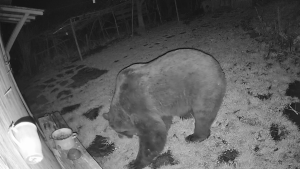 Vlcsnap 2026 04 08 12h17m25s221