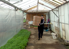 Video Răsaduri Cu Gust Autentic, Direct La Ușă