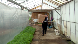 Video Răsaduri Cu Gust Autentic, Direct La Ușă