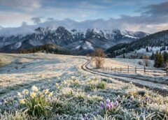 Vreme Deosebit De Rece La Final De Aprilie: Temperaturi în Scădere, Brumă și Ninsori La Munte