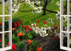 Vreme Mai Caldă Decât Normalul Perioadei, Dar Cu Ploi în Averse în Maramureș