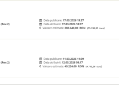 Zeci De Contracte Fără Licitație Pentru O Firmă Cu Trei Angajați