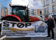 Acordul Mercosur, Aplicat Provizoriu De La 1 Mai