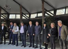 Alegeri Interne La Psd Olt