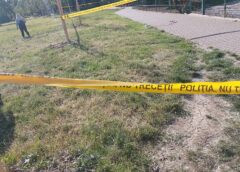 Bătaie în Parcul Pădurice Din Timișoara