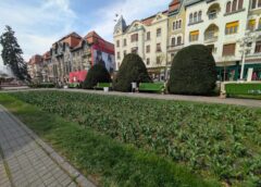 Ce Facem Astăzi, 18 Mai 2026, în Timișoara?
