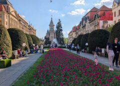 Ce Facem Astăzi, 4 Mai 2026, în Timișoara?