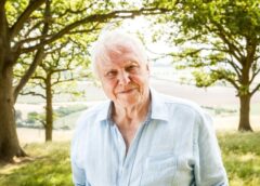 „cel Mai Mare Ambasador Al Vieţii Pe Pământ”: Omagii Pentru David Attenborough La împlinirea A 100 De Ani / Naturalistul Spune Că A Fost „copleşit De Mesajele De Felicitare