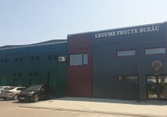 Compania Legume Fructe Buzău Angajează Inginer Tehnolog Pentru Industria Conservelor